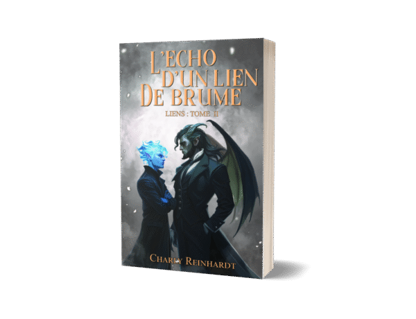 L'écho d'un lien de brume - version brochée