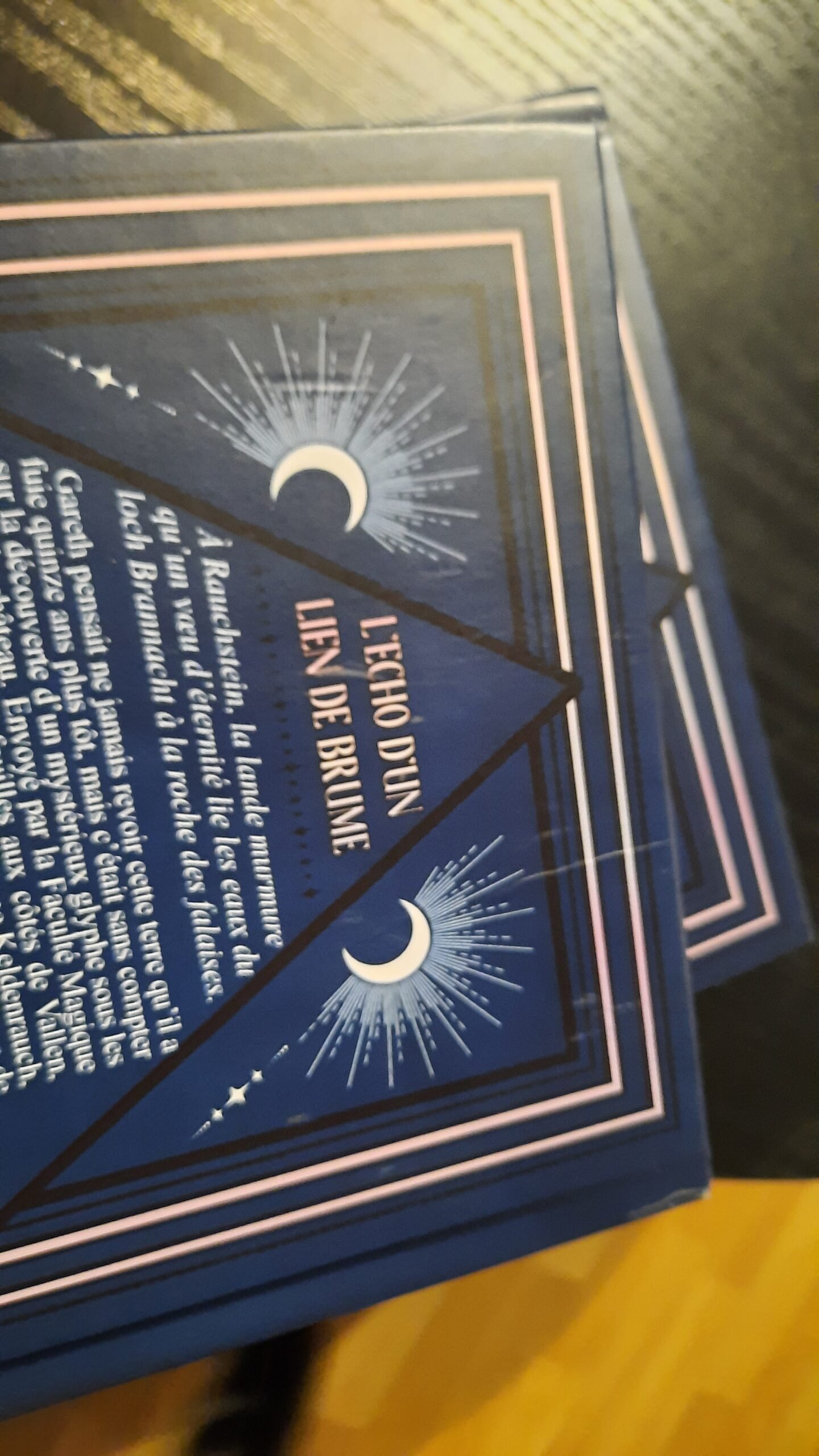 SOLDE - L'écho d'un lien de brume - version reliée - exemplaires abîmés – Image 2